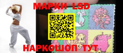 прущие грибы Абакан
