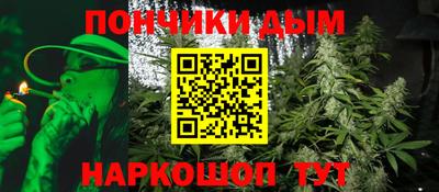 прущие грибы Абакан