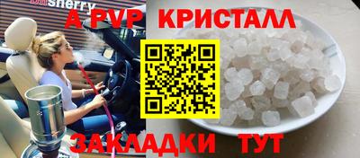 прущие грибы Абакан