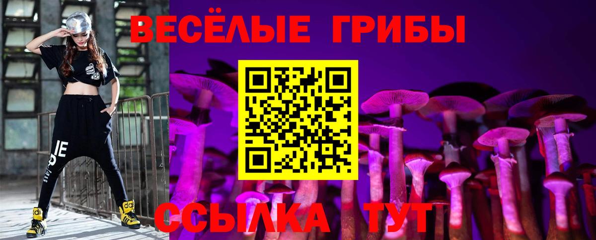 Алушта  Псилоцибиновые грибы Magic Shrooms  Вход с VPN  Галлюциногенные грибы прущие грибы 